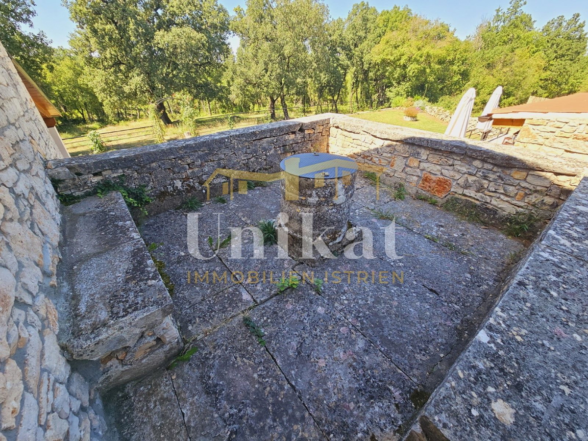 Posest z obnovljeno kamnito hišo, vrtom in bazenom